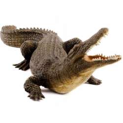 Papo 50055 Krokodyl nilowy   22,4x8,9x5,5cm (50055 RUSSELL) - 2