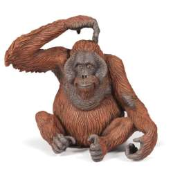 Papo 50120 Oranguan  9x6x8cm (PAPO 50120) - 10