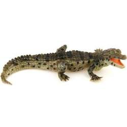 Papo 50137 Krokodyl młody  11x5x4cm (50137 RUSSELL) - 8