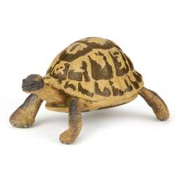 Papo 50264 Żółw Hermana 7,5x5,6x4cm (PAPO 50264) - 8