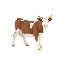 Papo 51133 Krowa rasy Simmental  13x4x8cm (51133 RUSSELL) - 2