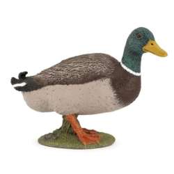 Papo 51155 Kaczka krzyżówka  7x4,9x3cm (PAPO 51155) - 2
