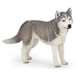 Papo 54035 Husky syberyjski  11x2x6cm (PAPO 54035) - 3