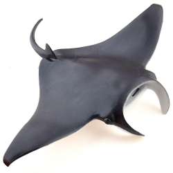 Papo 56006 Manta  18,3x13,5x2cm (PAPO 56006) - 2