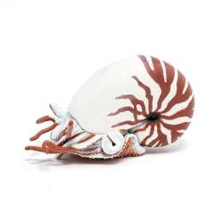 Papo 56061 Nautilus  7,5x3,8x4,5cm. (PAPO 56061) - 2