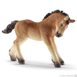 Schleich 13779 Ardennes źrebię (SLH 13779) - 2