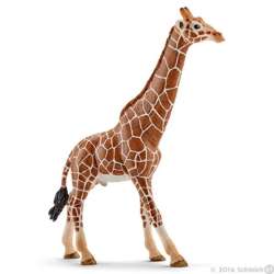 Schleich 14749 Samiec żyrafy (GXP-526624) - 2