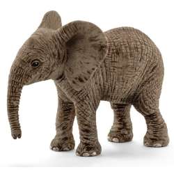 Schleich Młody słoń afrykański (14763) - 2