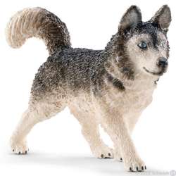 Schleich 16835 Husky (GXP-521495) - 2