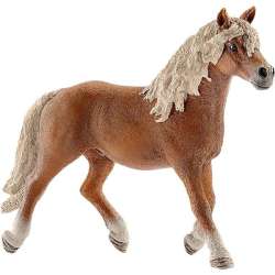 ! Schleich 13813 Ogier rasy Haflinger (GXP-575275) - 1