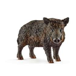 Schleich 14783 Dzik (SLH 14783) - 1