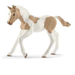 Schleich 13886 źrebię Pinto (SLH 13886) - 2