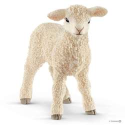 ! Schleich 13883 Mała owieczka (SLH 13883) - 1