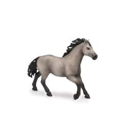 Schleich 72143 ogier rasy Quarter (SLH 72143) - 2