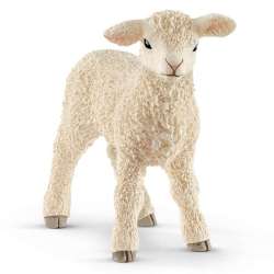 Schleich 13883-S Mała owieczka - saszetka (SLH 13883S) - 1