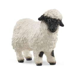 Schleich 13965 Owca walisejska czarnonosa (SLH 13965) - 1