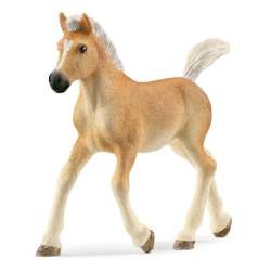 Schleich 13951 źrebię rasy Haflinger (SLH 13951) - 1