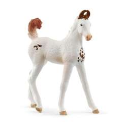 Schleich 14896 Źrebię Marwari - 1