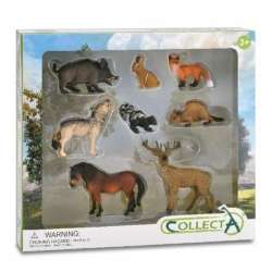 CollectA 84151 8 leśnych zwierząt w prezentowym pudełku (004-84151) - 1