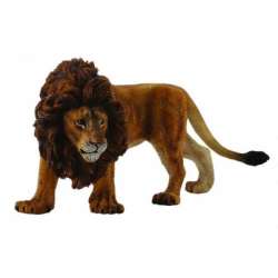 CollectA 88414 Lew afrykański    rozmiar:L (004-88414) - 2