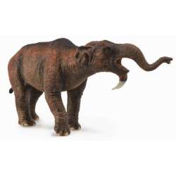 Collecta 88594 Dinozaur Deinotherium skala 1:20 23x11cm (004-88594) - 2