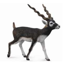 CollectA 88638 Antylopa blackbuck  rozmiar:L (004-88638) - 2