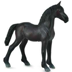 CollectA 88815 źrebię Friesian  rozmiar:M (004-88815) - 2