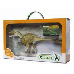 Collecta 89207 Dinozaur Velociraptor w pudełku skala 1:6 (004-89207) - 2