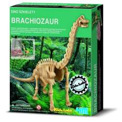 4M WYKOPALISKA BRACHIOSAURUS (3237) - 1