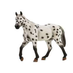 ANIMAL PLANET 7108 Ogier Appaloosa (GXP-532407) - 2