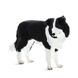 ANIMAL PLANET 7203 Pies rasy Border collie (F7203) - 2