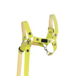 Kantar dla Hobby Horse wodze ekoskóra jasna zieleń - 1