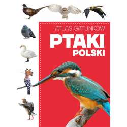 Atlas gatunków. Ptaki Polski - 1