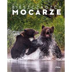 Album Bieszczadzcy mocarze - Walka niedźwiedzi - 1