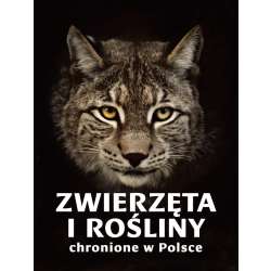 Zwierzęta i rośliny chronione w Polsce - 1