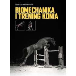 Biomechanika i trening konia - 1