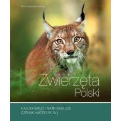 Zwierzęta Polski - 1