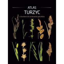 Atlas turzyc z kluczami do oznaczania gatunków - 1