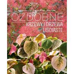 Ozdobne Krzewy i drzewa Liściaste - 1