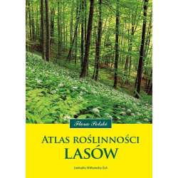 Atlas roślinności lasów - 1