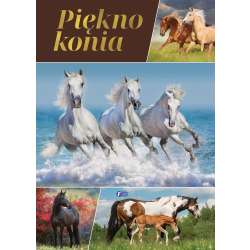 Piękno konia - 1