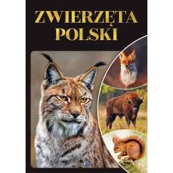Zwierzęta Polski - 1
