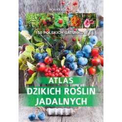 Atlas dzikich roślin jadalnych - 1