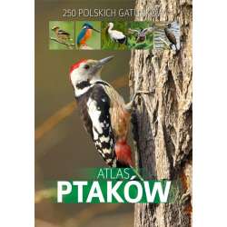 Atlas ptaków - 1