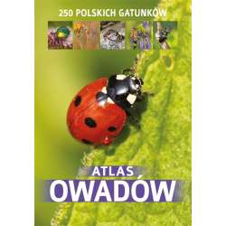 Atlas owadów (dodruk) - 1