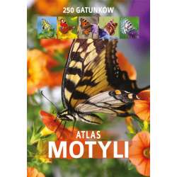 Atlas motyli (dodruk) - 1