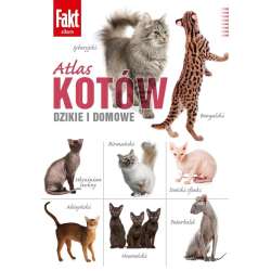Atlas kotów - 1