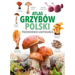 Atlas grzybów Polski - 1