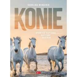 Konie - 1