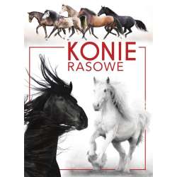 Konie rasowe - 1